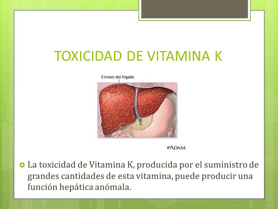 K animales vitamina en de función la